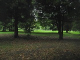 Finsbury Park earthworks