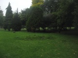 Finsbury Park earthworks