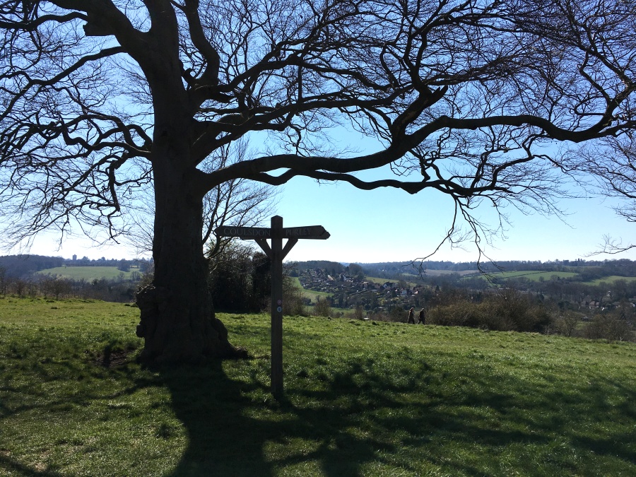 Click for full size image of Farthing Downs (PID:209707) Farthing Downs