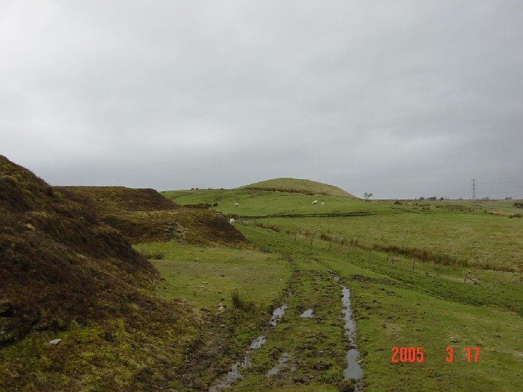 Click for full size image of Carve Hill Low (PID:12815) Carve Hill Low