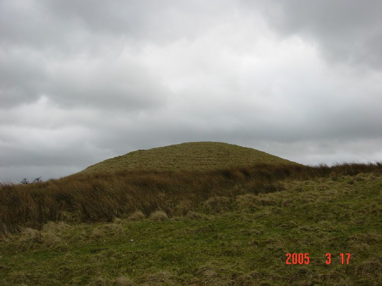 Carve Hill Low (PID:12817) Carve Hill Low