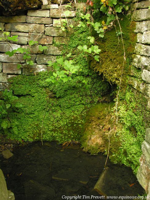 St Chad's Well (Chadkirk)