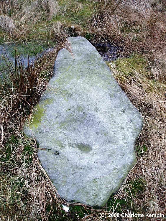 Stuart Mendelsohn writes: Here is a picture of one of the stones, It was taken by my girlfriend during a visit to the site in March, with Peter Iles.