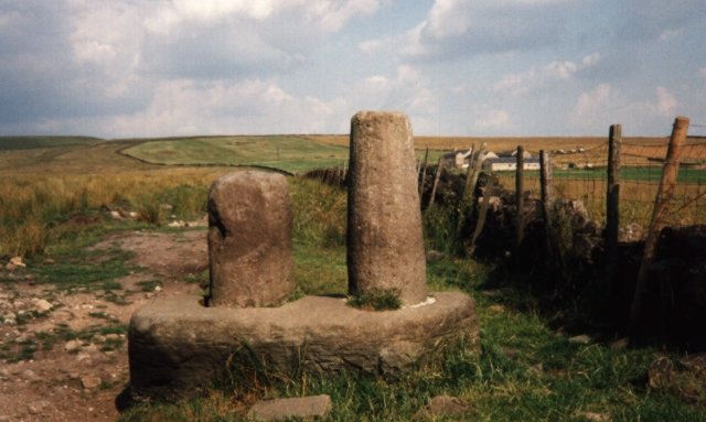 Robin Hood's Picking Rods, Derbyshire | Megalithic Portal