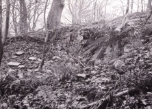 Toothill Long Barrow