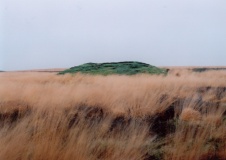 Moortop Barrows