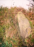 Thurstones Row