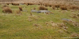 Hamer Hill