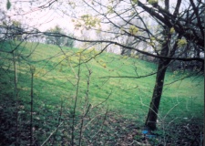 Toothill Long Barrow