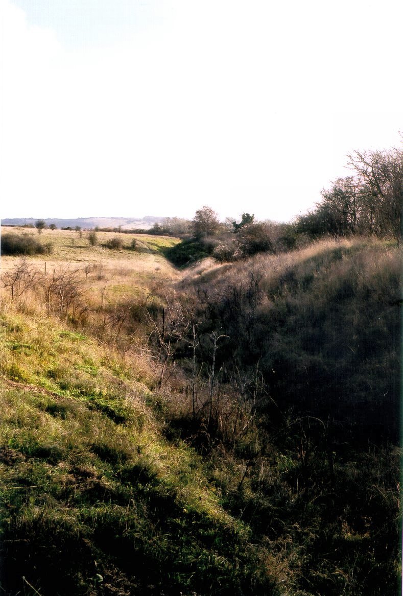 Bokerley Dyke