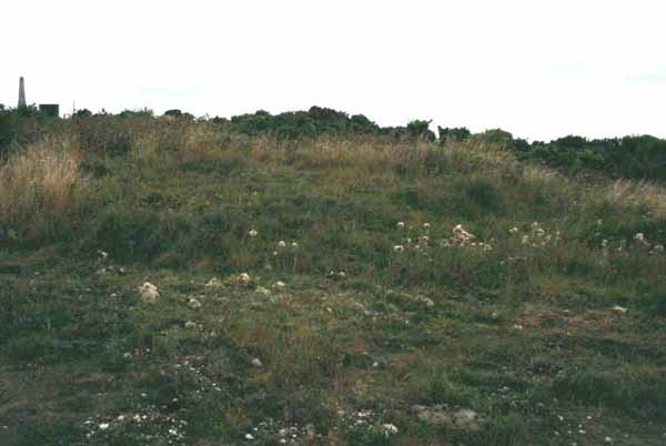 Culver Down I