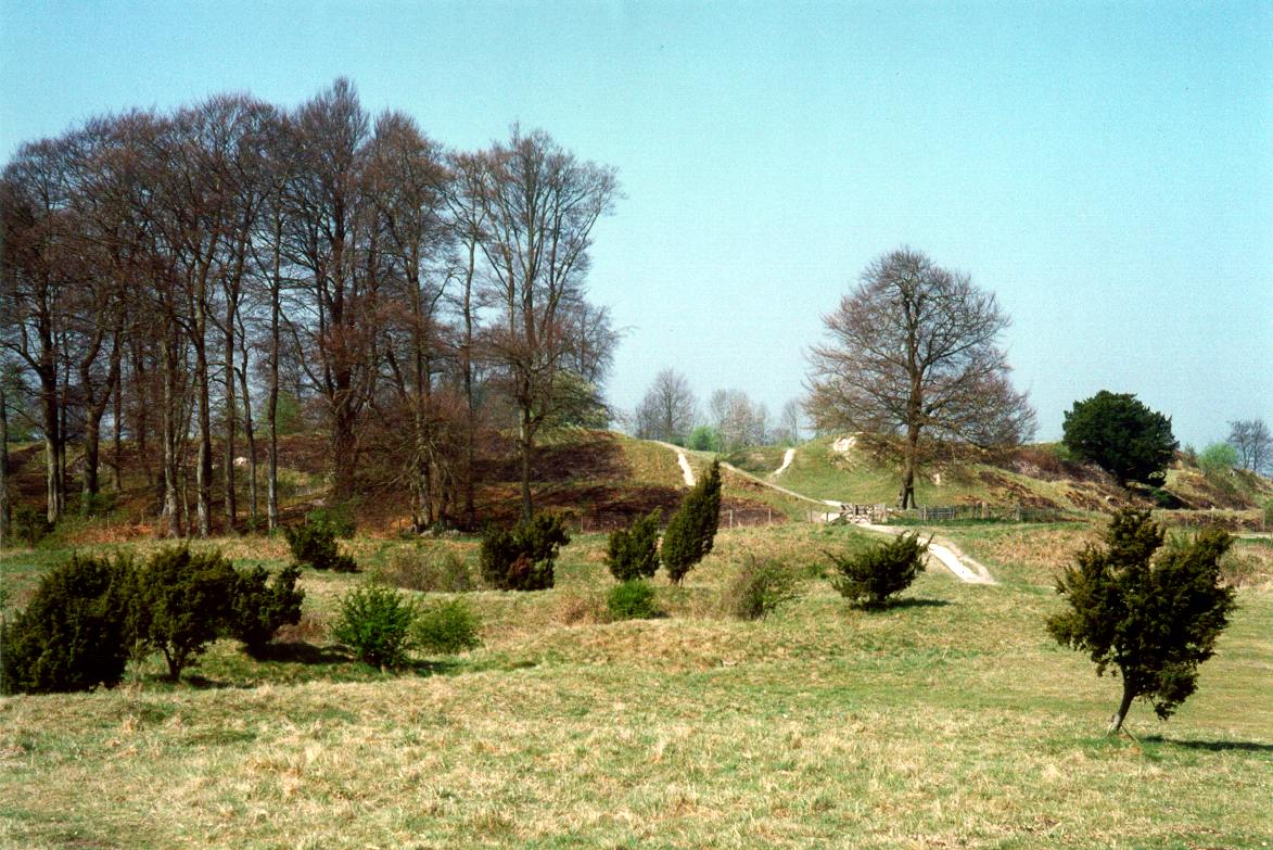 Click for the gallery page to add comments and vote (PID:5507) Danebury Ring