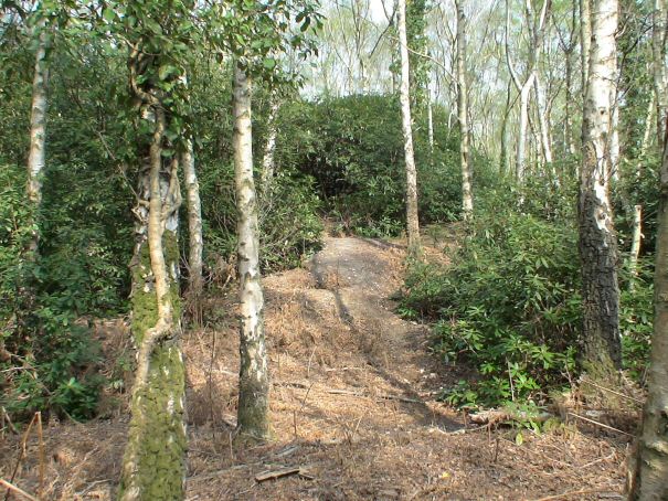 Click for the gallery page to add comments and vote (PID:28979) Hamptworth Common Tumulus