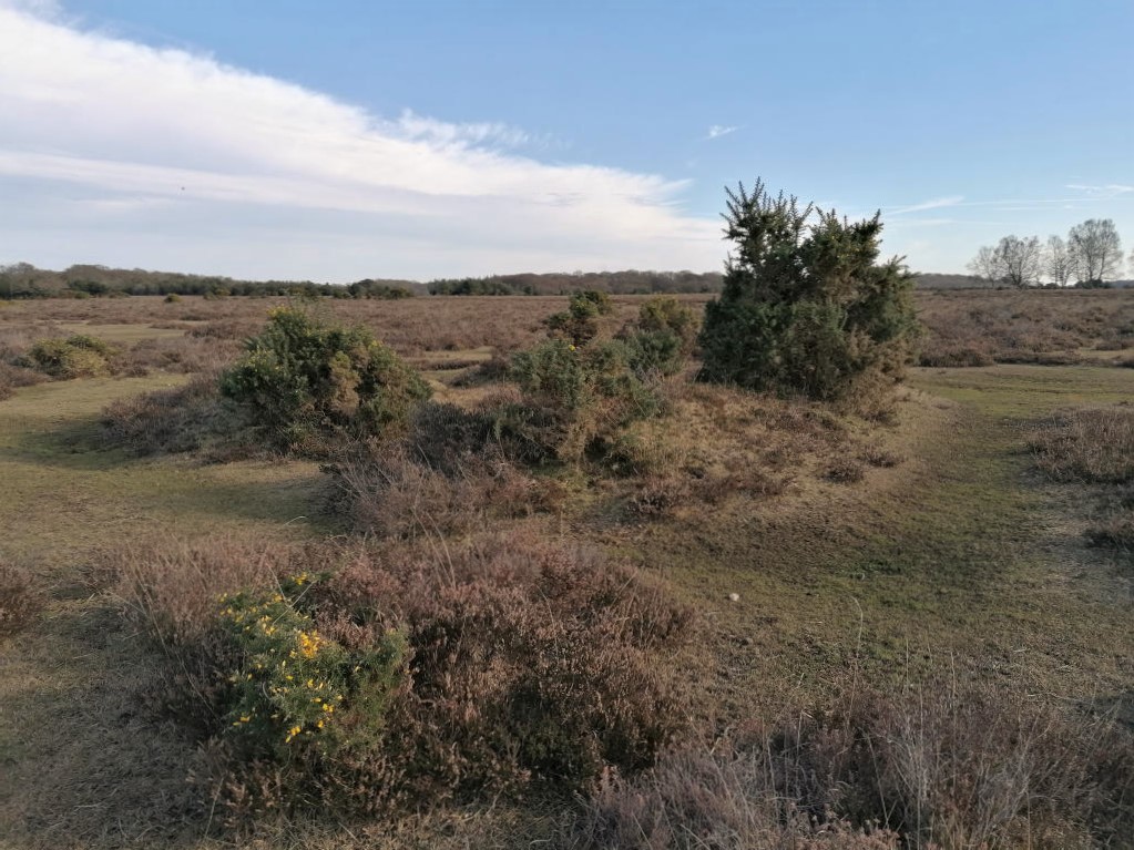 Hiscocks Hill barrow