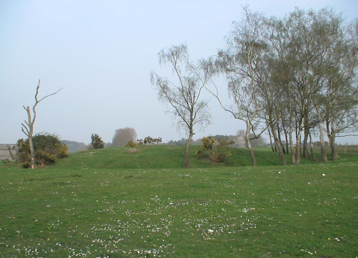 Click for the gallery page to add comments and vote (PID:28946) Landford Common Tumulus