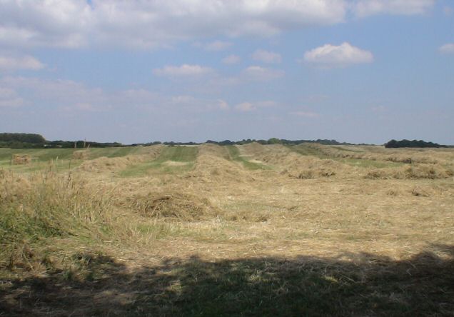 Tenantry Farm