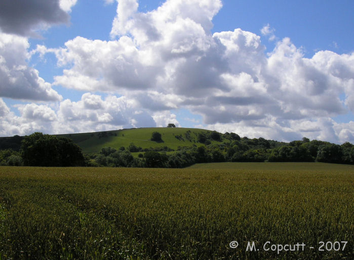 Click for full size image of Ladle Hill (PID:31656) Ladle Hill