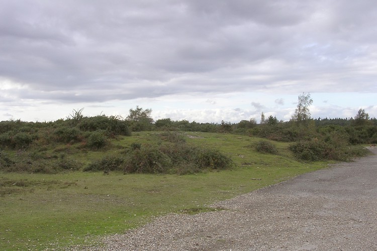 Beaulieu Heath (West)