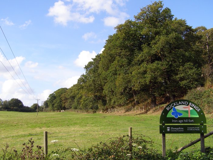 Click for the gallery page to add comments and vote (PID:24786) Buckland Rings