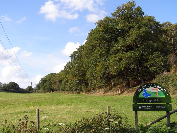 A late summer/early autumn view along the southern edge of the earthworks: the triple banks are quite densely wooded with beech and oak. There are permissive paths through this field, and near the white horses there is a gate leading to a path up through the ramparts to the interior.