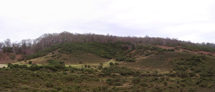 Castle Hill (Hampshire)