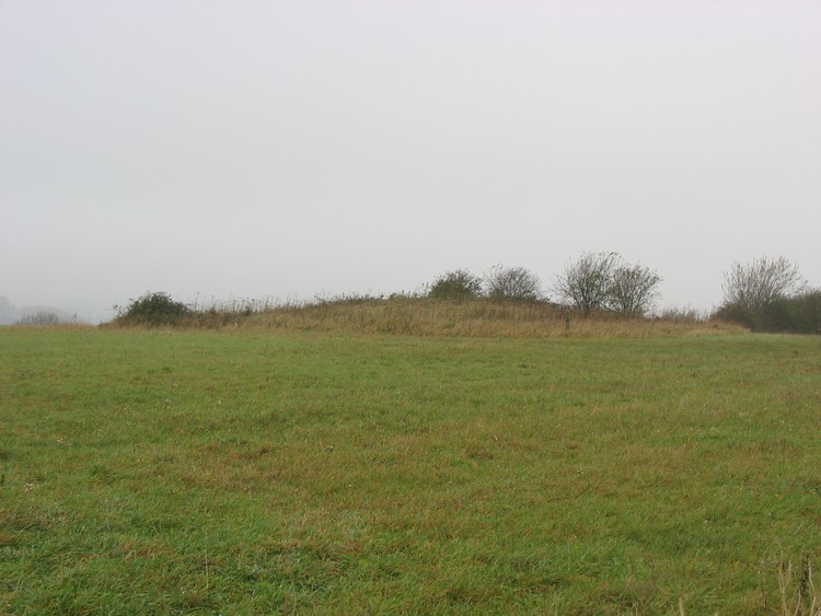 Cheesefoot Head Barrows