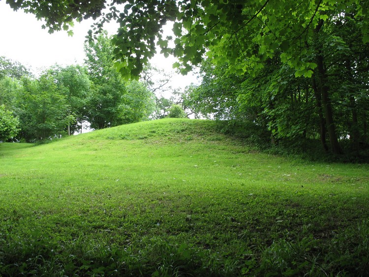 Hackwood Park Barrows