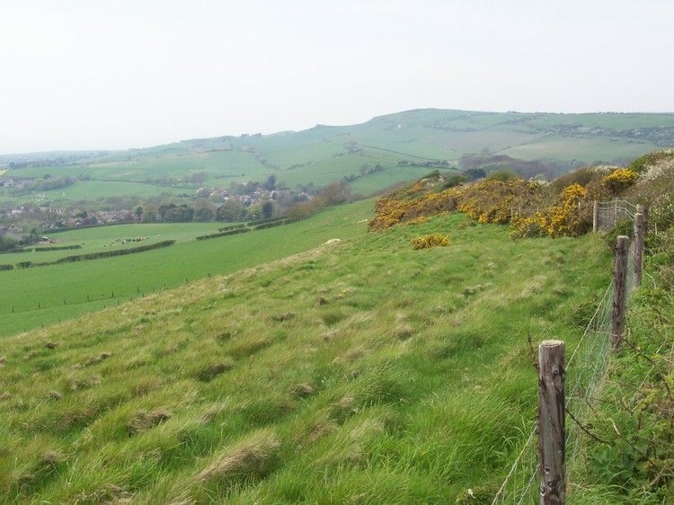 Shorwell  1