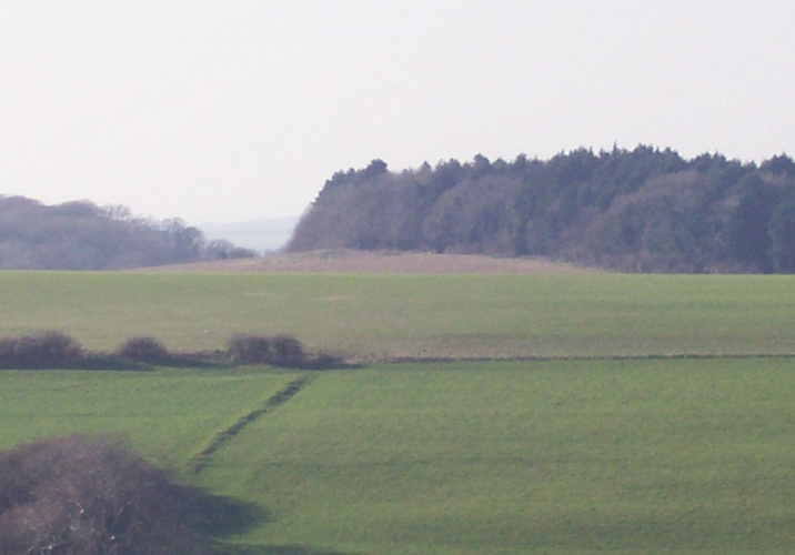 Round Copse