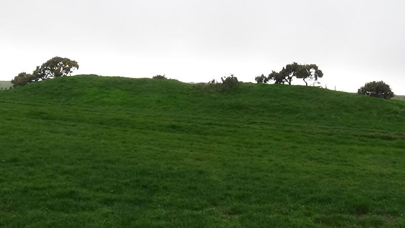 Cheverton Farm