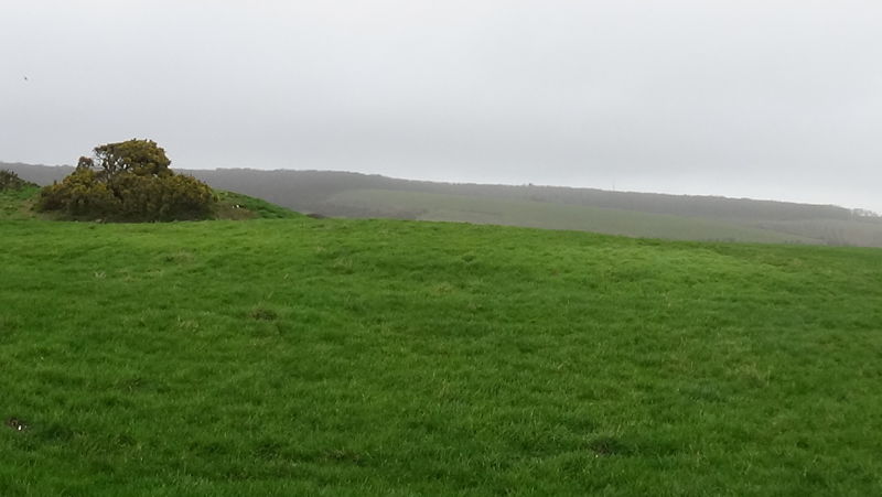 Cheverton Farm