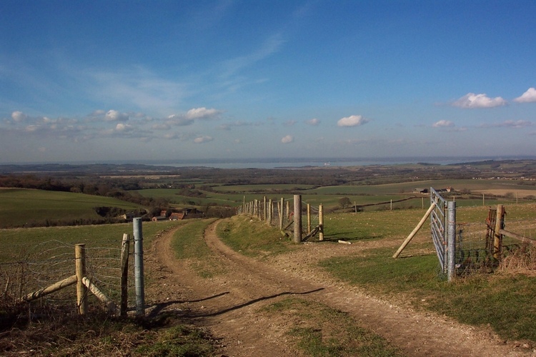 Bowcombe Down