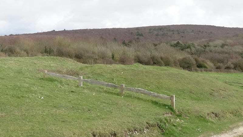 East Westover Down - Tennyson Trail