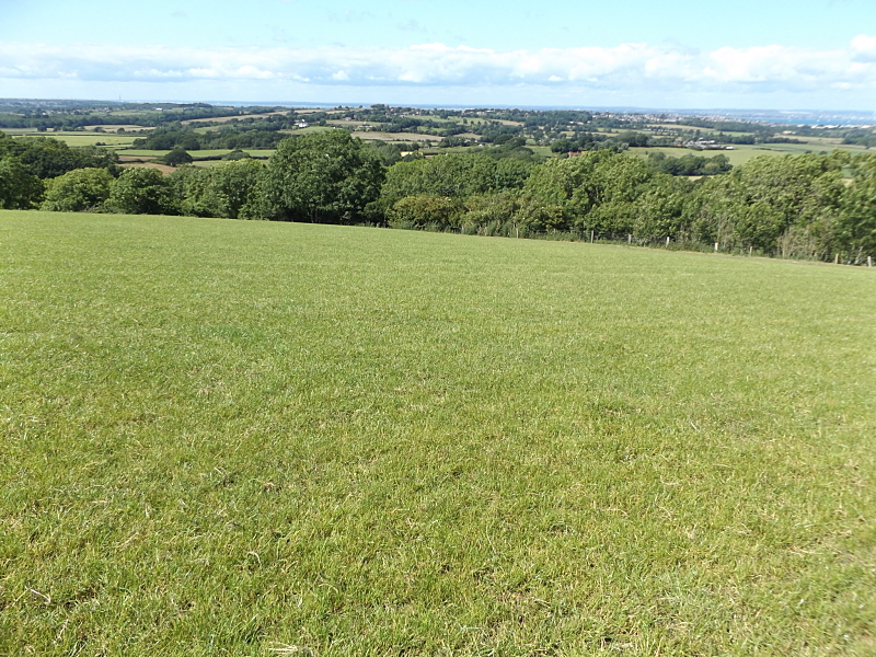Eaglehead Copse II.