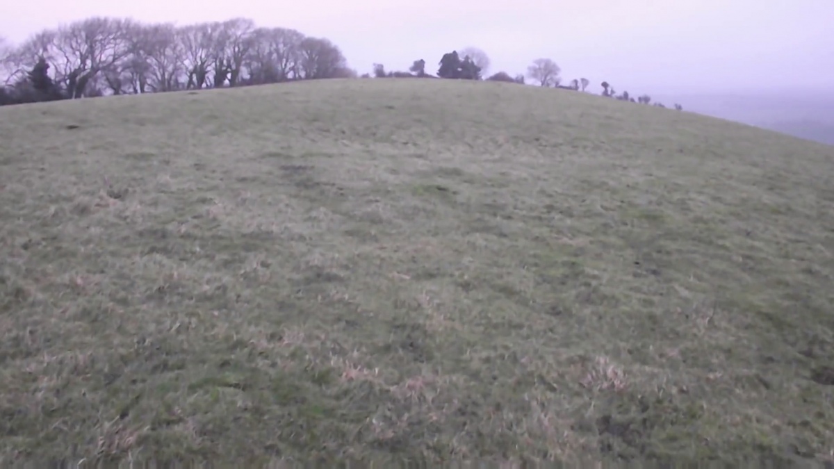 Chillerton Fort