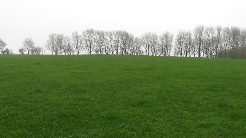 Newbarn Down Barrows