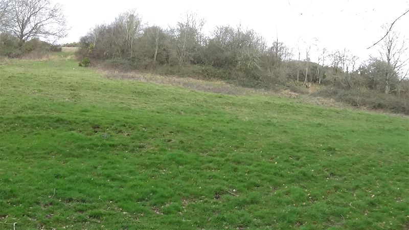 Pitts Down Field System