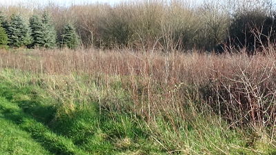 Click for the gallery page to add comments and vote (PID:194735) Vittlefields Farm Bowl Barrow