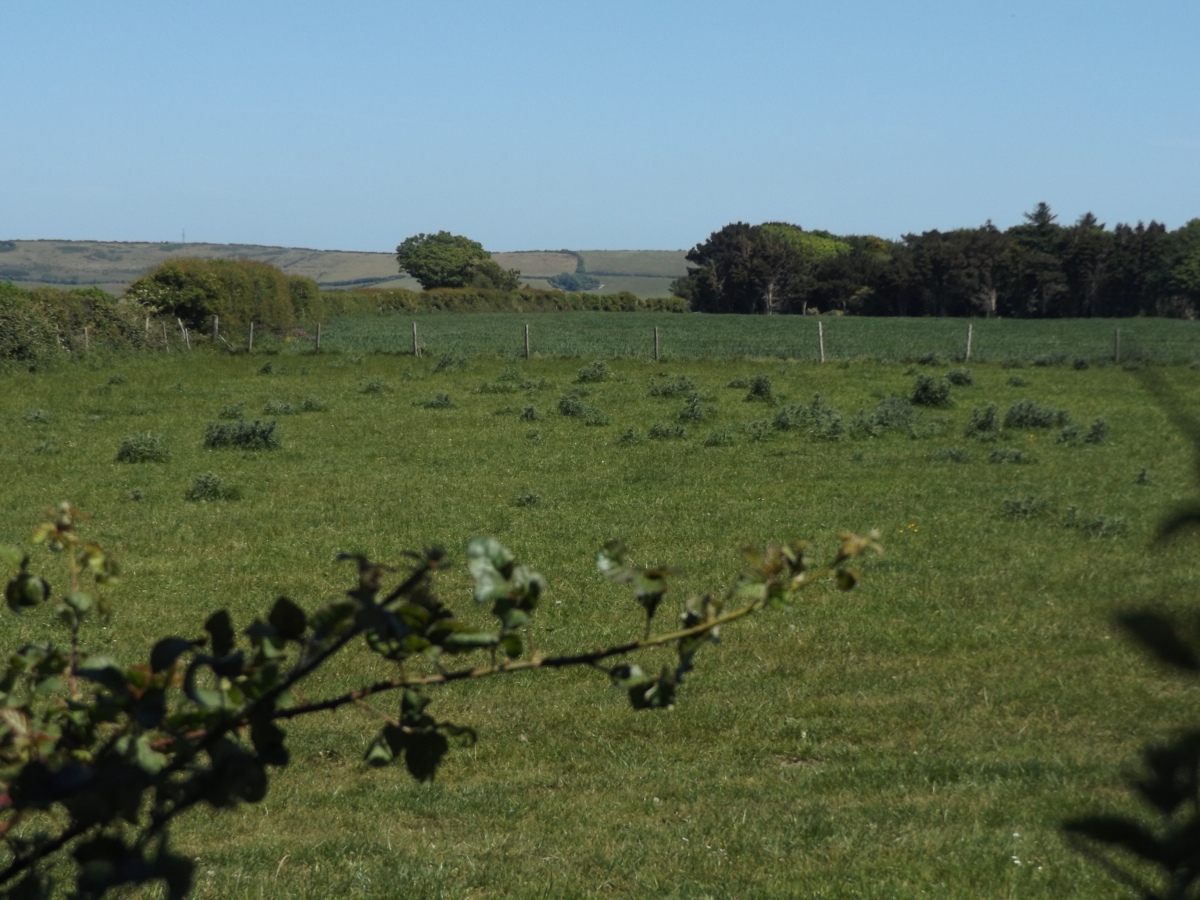 The clumps of bracken cover most of the barrow. Lovely view of hills in background!