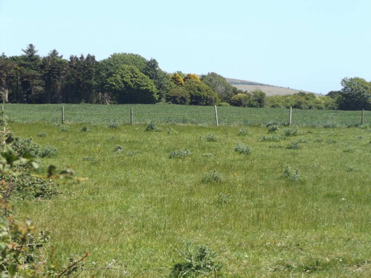 Bowl barrow 600m north west of Ladyacre Farm