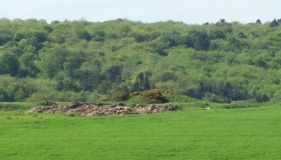 Cheverton Farm