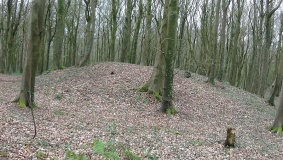 Brighstone Forest 1