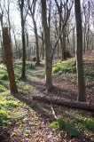 Brighstone Forest 1 - PID:19019