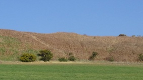Shorwell 2