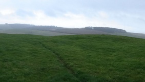 Cheverton Farm
