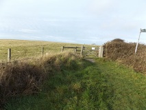 Week Down Barrows