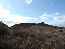 Headon Warren