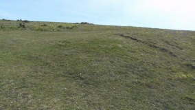 Tennyson Monument Enclosure