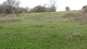 Pitts Down Field System