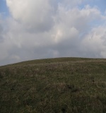 Shanklin Down Barrows